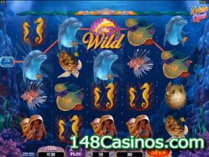Dolphin Quest Slot