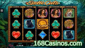 Exotic Cats Slot