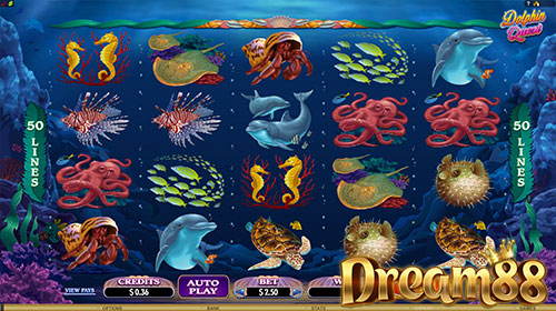 Dolphin Quest Slot - เกมส์สล็อตออนไลน์ ธีมใต้ทะเล